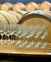 The Art Of Wine Academy image 4