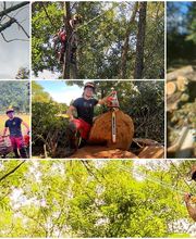 E.T.E. Le Charme image 4