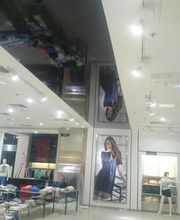 BieneGold GmbH Bild 13