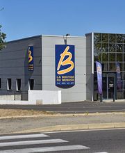 Castes Diffusion image 8