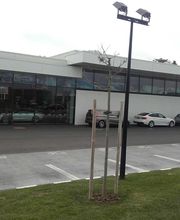 Foch Automobiles image 2