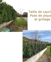 Kayser-MultiServices image 10