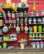 ORCHESTRA AJACCIO Sarrola-Carcopino image 15