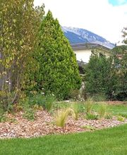 Arbre & Co Sàrl Bild 3