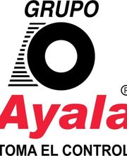 Michelin Car Service Grupo Ayala Colosio imagen 1