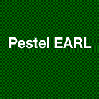 Pestel
