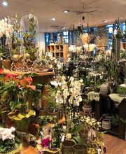 Blumen Interfleur Floristik & Wohnaccessoires Bild 14