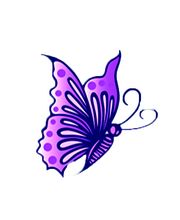 Die "neue" Kraftquelle Bild 2