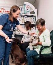 All Animals Veterinary Clinic image 5