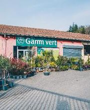 GAMM VERT image 1