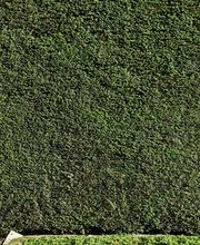 Winkler's Gartenservice Bild 3