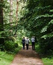 Die Hauptwege durch den FriedWald Dudenhofen sind gut begehbar.