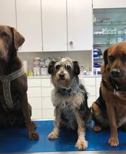 Tierärzte Team Aurora AG Bild 5