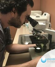 Universal Dermatology & Vein Care image 2