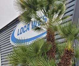 Loca West image 8