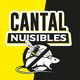 Cantal Nuisibles