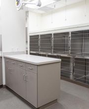 Founders Green Animal Hospital image 12