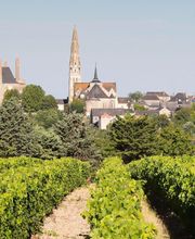 Domaine Des Deux Arcs image 2