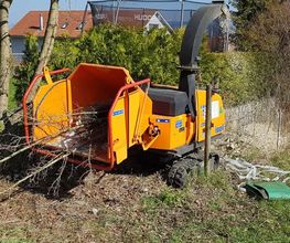 BRÜHWILER-GARTENBAU, BAUMPFLEGE Bild 3