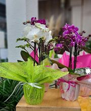 Au Coin Fleuri image 3