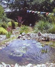 Gärtner Schultheiß Bild 2