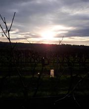 Cognac Michelet image 17