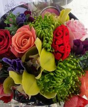 Audrey Fleurs image 14