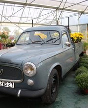 Jardinerie Champs Fleurs image 11