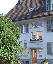 Adler Bild 2
