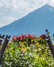 Alters- und Pflegeheim Schärmtanne & Alterswohnungen Sigriswil Bild 8