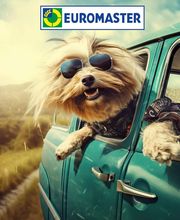 Euromaster Marchesano Pneumatici immagine 11