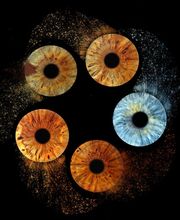 You & Eye Photo Genève Bild 13