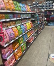 Tom&Co Chinon - Animalerie - Dog Wash image 8