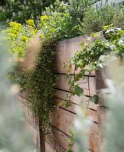 Mint Gardens Bild 12