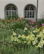 Zimmermann Flaach AG Blumen & Gartenbau Bild 13