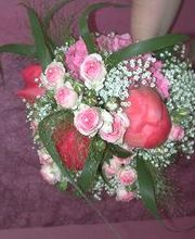 Blumenpanorama Hosch GmbH & Co. KG Bild 3