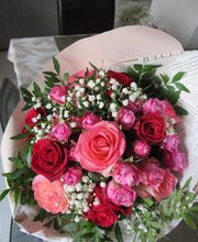 Lily R image 20