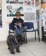 Argos Clínica Veterinaria imagen 7