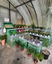 GIARDINI DOS SANTOS CANIÇO Bild 7