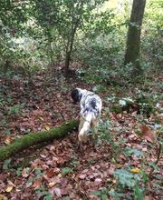 Bochard Cédric image 3