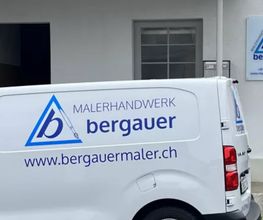 Bergauer Malerhandwerk Bild 1
