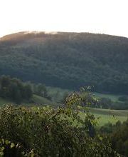 Birkenstübchen Bild 9