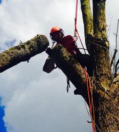 Baudin Parcs et Jardins