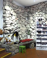 Manesse-Apotheke AG Bild 6