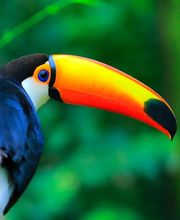 Hang Loose Travelservice Bild 5