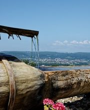 Ruedi Schneider Bild 3