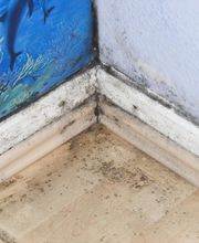 Matthias König Bild 2