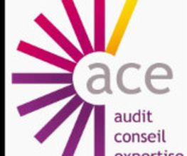 ACE image 6