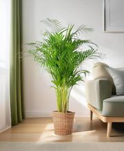 thumbnail_600_e4b412ec-4dfa-4604-94ab-80701200f520-min.jpeg