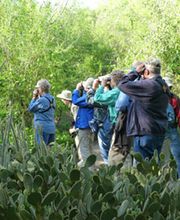 Alamo Inn B&B, Gear & Tours image 8